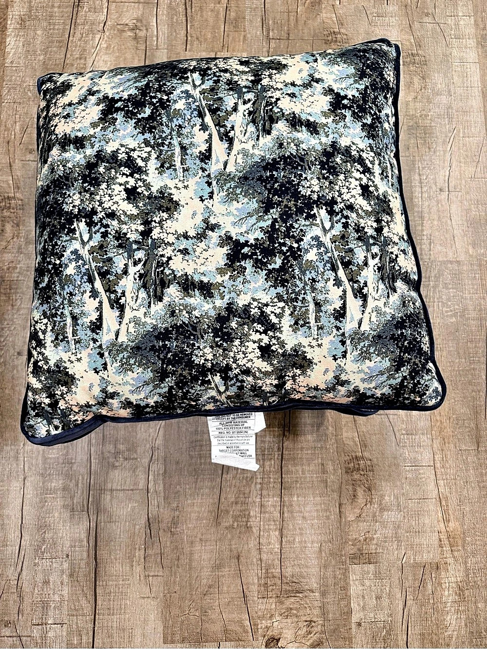 2 Threshold Square Printed Velvet Pillow Set of 2 Blue & Cream